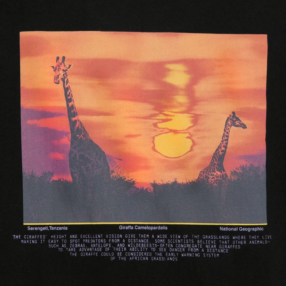 National Geographic Giraffes Semi-Cropped T-Shirt For Women - Image 3