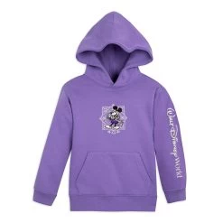 Mickey Mouse And Friends Disney100 Pullover Hoodie For Kids – Walt Disney World